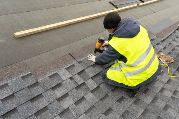 Roof Gutter Cleaning in Lyndon, KS