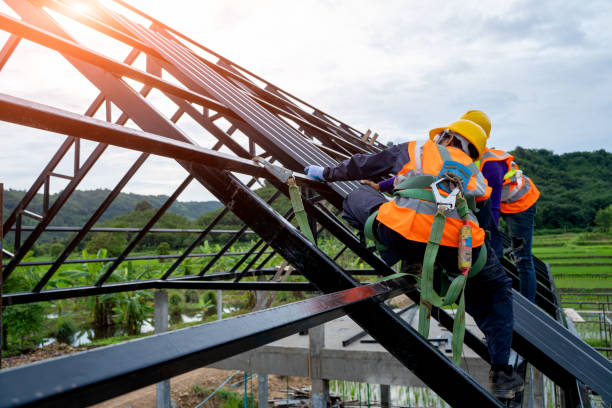 Best Roof Gutter Cleaning  in Lyndon, KS